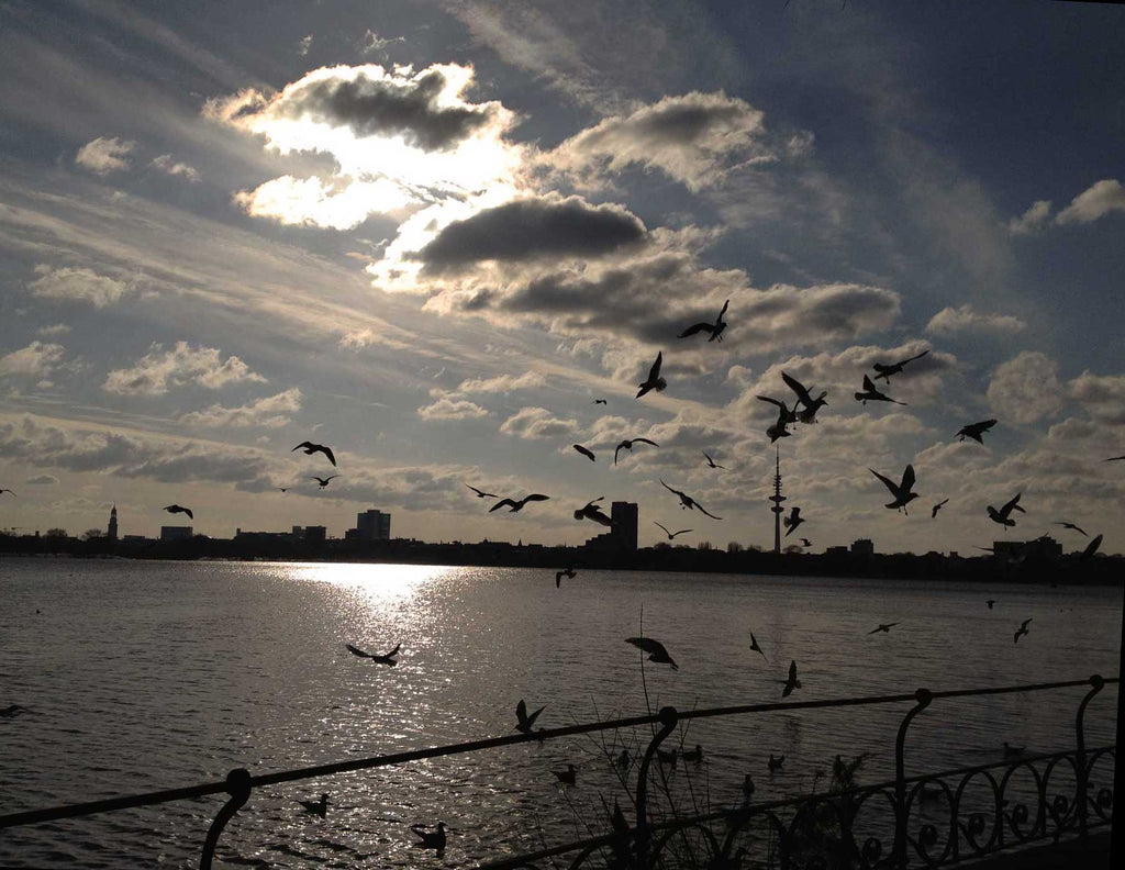 Hamburg Alster